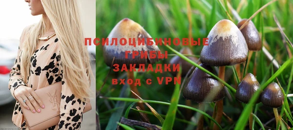 шишки Нефтегорск