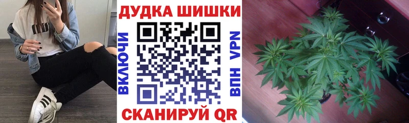Купить  Иноземцево  МАРИХУАНА OG Kush 